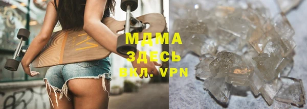 прущие грибы Дмитров