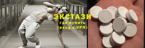 дмт Ельня