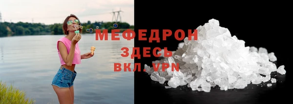 прущие грибы Дмитров