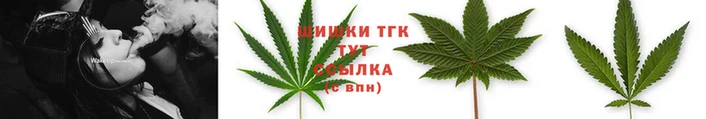 прущие грибы Дмитров