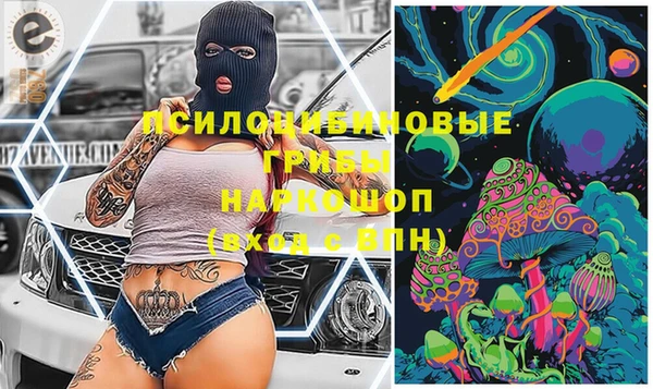 соль ск Дмитровск