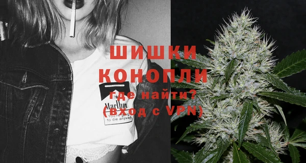 дмт Ельня