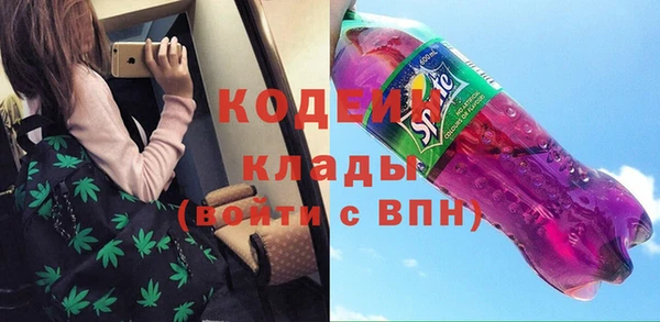 гашик Дмитриев