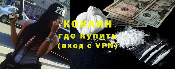 гашик Дмитриев