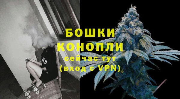 гашик Дмитриев