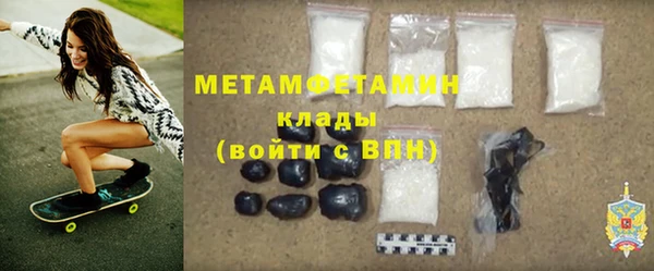 прущие грибы Дмитров