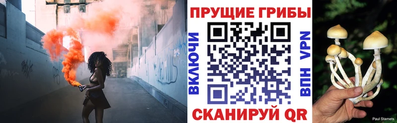 Купить закладки  Гремячинск  Псилоцибиновые грибы GOLDEN TEACHER 